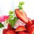 rhody0705