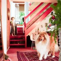 THE SHRIVES (@grocottmusic) 's Twitter Profile