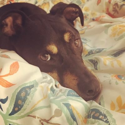 Proud mama of two girls, one fur baby. Crazy Christian, nurse practitioner, blogger