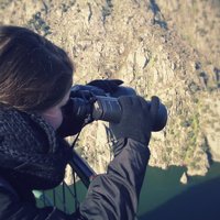 Eva M Gallego (@gallego_evam) 's Twitter Profile