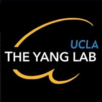 The Yang Lab(@TheYangLab1) 's Twitter Profile Photo
