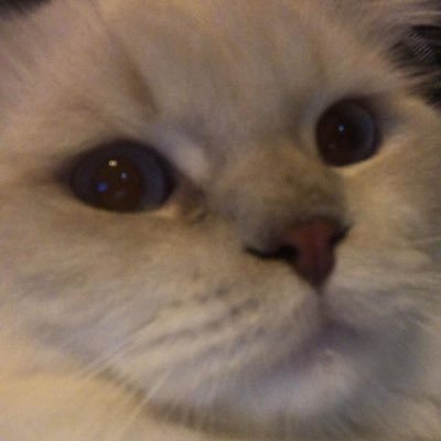 futursuzpic's profile picture. 