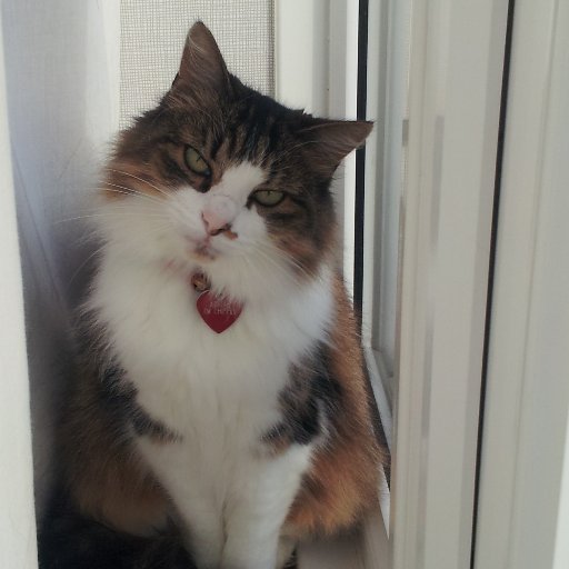 susandouglass82's profile picture. ...and rest.
she/her