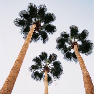 ixzahrax's profile picture. اللهم صلِ على محمدٍ وآل محمد. https://t.co/5BhnDsZjOP