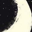 suninged's profile picture. 