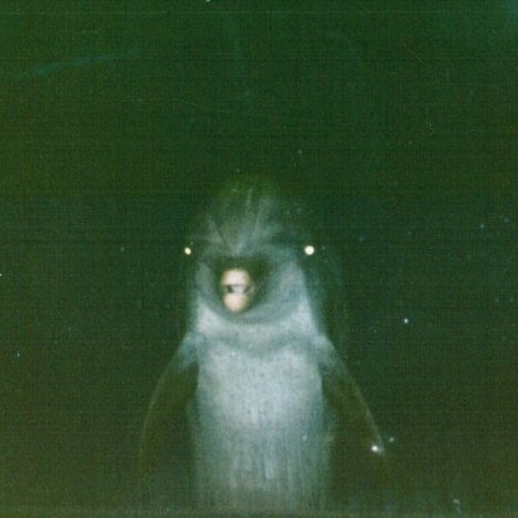 EddieFailson's profile picture. i wish i knew