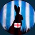 BennettsFieldBunny🏴󠁧󠁢󠁥󠁮󠁧󠁿🇬🇧 🇺🇦 🇮🇱 (@BennettsField) Twitter profile photo