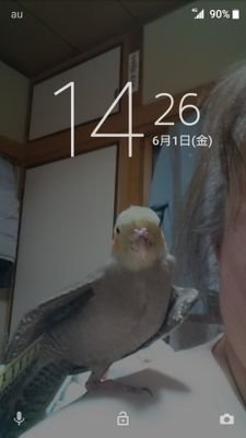 B'zとBilly Joelとオカメインコのるる❤️が大切な気楽なバツイチです😅