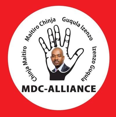Working for Chamisa Presidential Campaign