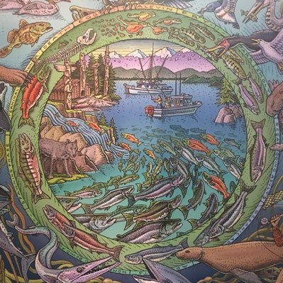 #Fisheries | Salmon life cycle illustration (used in my avatar & background) by Ray Troll and Karen Lybrand for @NMNH.