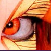 KissingTheCockroach® 💜💋🪳 (@cockroachkisser) 's Twitter Profile