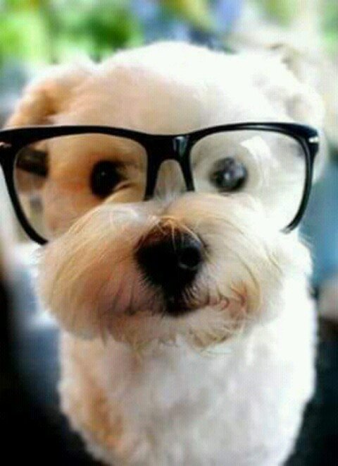 Valeria93237153's profile picture. I love music