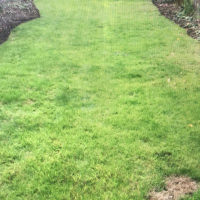 simplyrestyle1's profile picture. simplyrestyle