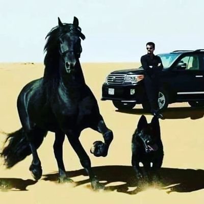 Farrukh07657374's profile picture. it's me not you