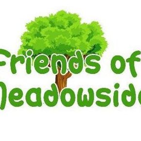 Friends of Meadowside C I C Profile