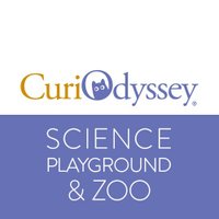 CuriOdyssey (@curiodyssey1) 's Twitter Profile