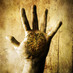 Occupational Therapy (@occther) Twitter profile photo Occupational Therapy (@occther) Twitter profile photo