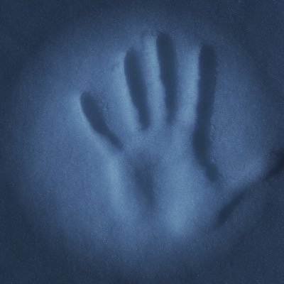 sirfancytoad's profile picture. 