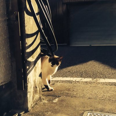 人生半分仔雅だと気付いた今日この頃