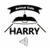 カワウソカフェ®︎HARRY原宿テラス店 (@zoocafe_harry) Twitter profile photo カワウソカフェ®︎HARRY原宿テラス店 (@zoocafe_harry) Twitter profile photo