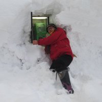 佐々木シュンメイ (@shunmei5) Twitter profile photo