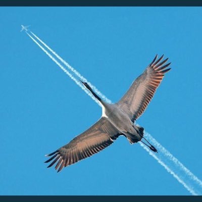 Abdulla74359530's profile picture. 