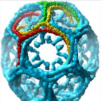 Kirchhausen lab (@kirchhausenlab) 's Twitter Profile Photo Kirchhausen lab (@kirchhausenlab) 's Twitter Profile Photo