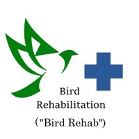 BirdRehabilitation (@birdrehabilita1) Twitter profile photo