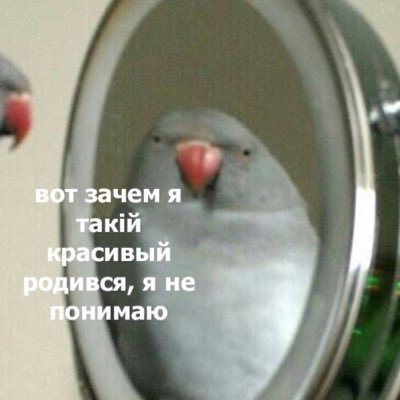 heybaeme's profile picture. 