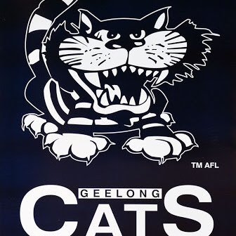 play cricket i go 4 Geelong in the AFL