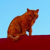 C. Lübke 🇪🇺 (@cluebke2) 's Twitter Profile Photo C. Lübke 🇪🇺 (@cluebke2) 's Twitter Profile Photo