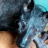 Uriel (@uriel66689314) 's Twitter Profile