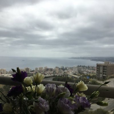 erika_rgua's profile picture. Rancaguina, Viñamarina, hoy  de. Ñuñoa, Casada, ing Civil,soy donante ( cel madre, sangre,pro-vida,)vida sana, alimentación natural.. @erika.power_