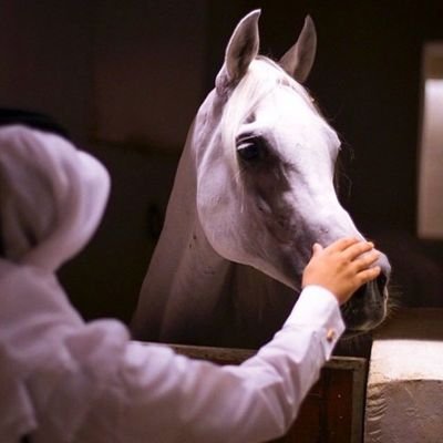 mod_616's profile picture. ‏‏‏‏‏‏‏‏‏عشريني 👬لصداقه اصحاب العقول الناضجه بحترامك ؛واخلاقك؛وطيبه قلبك.تكسبني 😘
*تغاريدي عباره عن كلام راق لي *💌💬
👬💕💛💕👬
🌹*جيزان*🌹