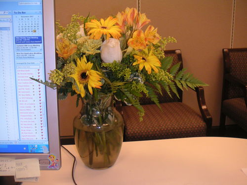 dee_martin's profile picture. Worker bee