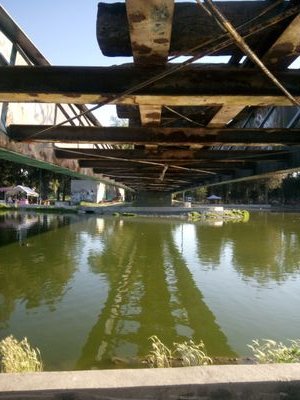 balaamrico's profile picture. 