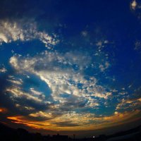 つぶやきbot (@grideach0320) 's Twitter Profile