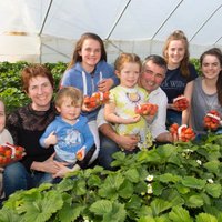 Greenhill Fruit Farm (@fruitgreenhill) 's Twitter Profile