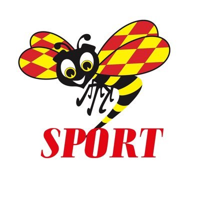 SportExpressen Profile Picture