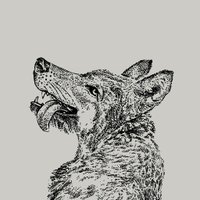 Smiling Wolf (@smiling_wolf) 's Twitter Profile