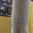 longcat222's profile image