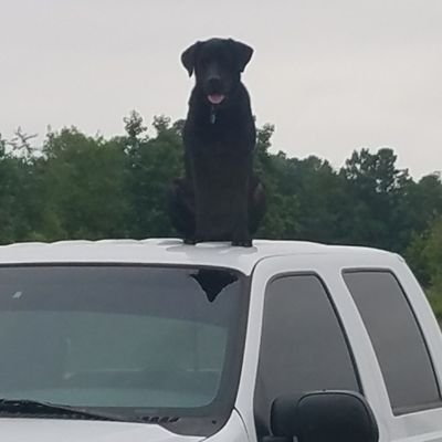 Maddog_Carter's profile picture. South Carolina Trump supporter. American by birth, saved by the Grace of God.  If you're not a part of the solution, then you are a part of the problem.