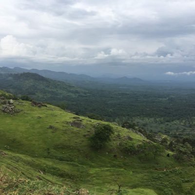 SacreWaula's profile picture. SWL