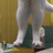 longcat333's profile image