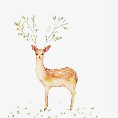 shika_no_ko_'s profile picture. 無言フォロー失礼します。大学を卒業し社会科講師をやっています。
講師生活を始めて、3年目に突入します。新米ですがよろしくお願いします。