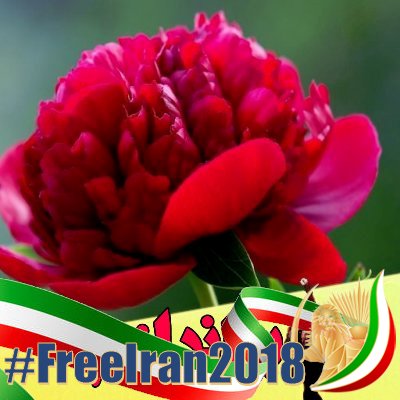 I an an engineer advocating for freedom & democracy in  Iran and peace for the region .