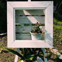 MITTI (@mitti12101) Twitter profile photo