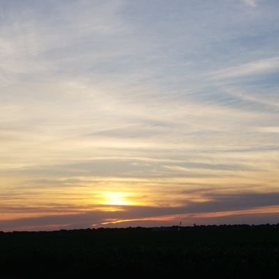 grovex4's profile picture. 4th Grade Teacher WPN Elementary