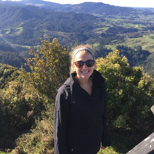 MsMcClellan3's profile picture. US History and Econ teacher at Fulton High School.