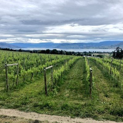 5 generations grain farm Farmin’ the hills of Whitkow, SK & the vineyards in the Okanagan, BC.